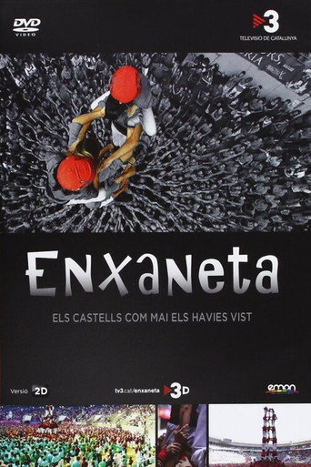 Movie poster for Enxaneta (2011)