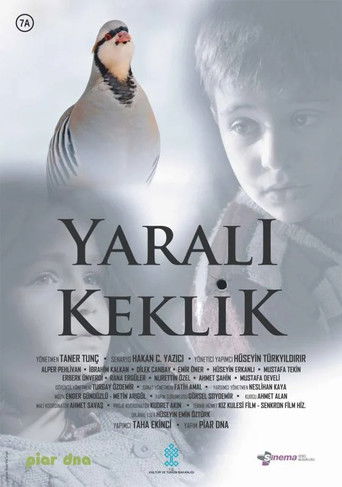 Yaralı Keklik poster