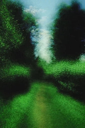 Movie poster for Brouillard #13 (2013)