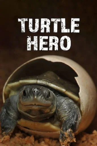 Movie poster for Turtle Hero (2016)