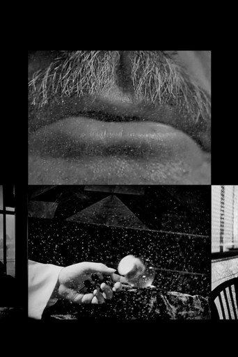 Movie poster for Cinema Study (2003)