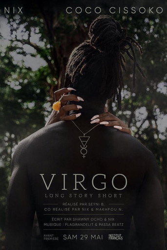 Movie poster for Virgo – Long Story Short (2021)
