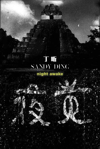 Movie poster for Night Awake (2016)