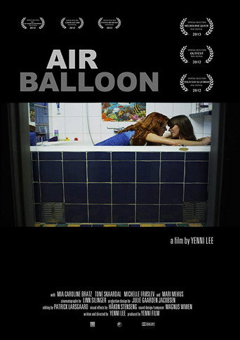 Movie poster for Air Balloon (2011)