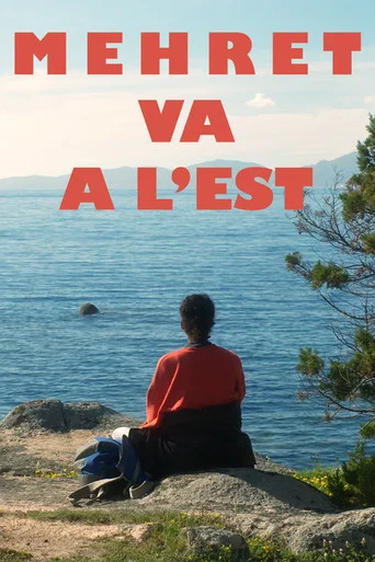 Movie poster for Mehret goes East (2022)