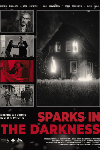 Movie poster for Sparks in the darkness (2024)
