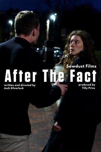 Movie poster for After the Fact