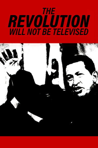 Movie poster for The Revolution Will Not Be Televised (2003)