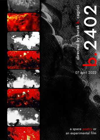 b.2402 poster