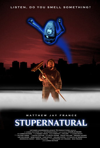 Movie poster for Stupernatural (2011)