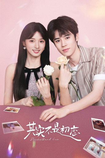 Predestined Love poster