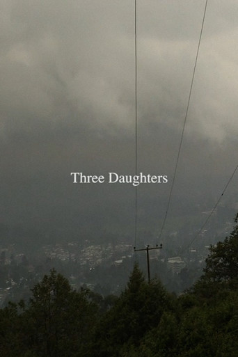 Movie poster for Three Daughters (2014)