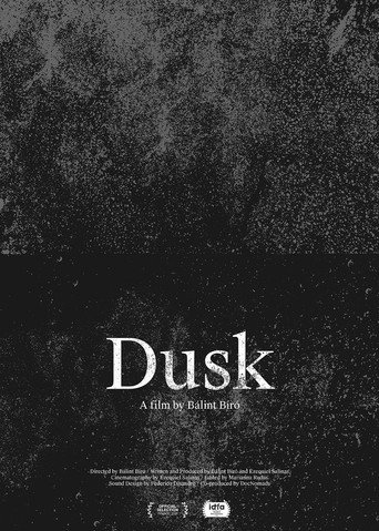 Movie poster for Dusk (2020)