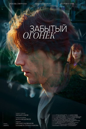 Movie poster for Забытый Огонёк (2024)