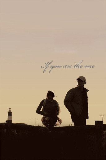 Movie poster for If You Are the One (2008)