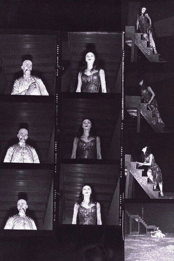 The Miraculous Mandarin poster