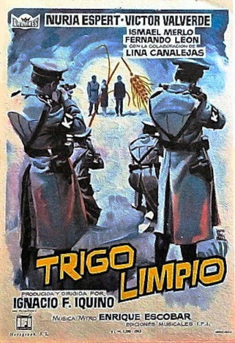 Trigo limpio poster