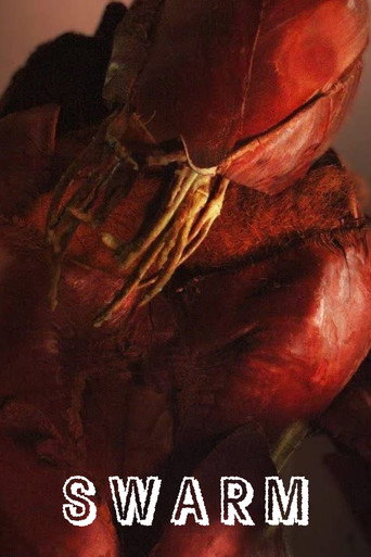 Movie poster for Swarm (2017)