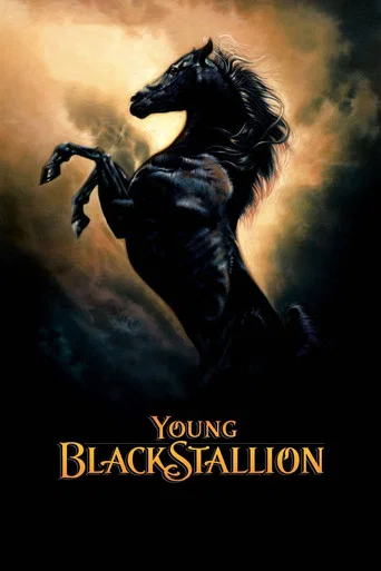 Movie poster for Young Black Stallion (2003)