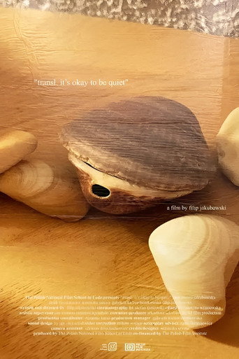 Movie poster for transl.  it’s okay to be quiet (2025)