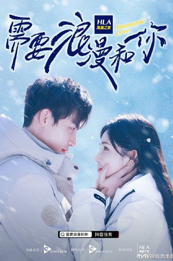 Romantic Love poster