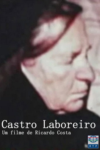 Movie poster for Castro Laboreiro (1980)