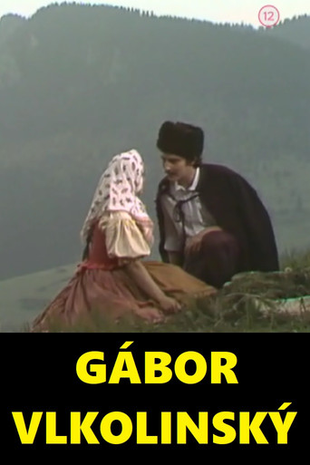 Gábor Vlkolinský poster