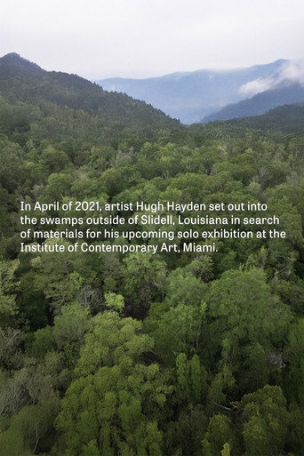 Movie poster for Hugh Hayden: Skeletons in the Swamp (2022)