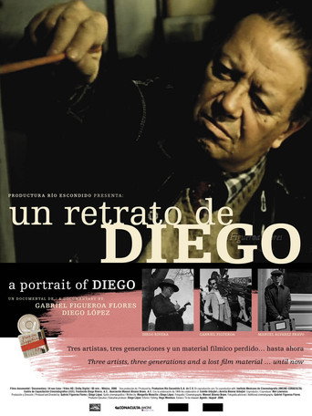 Movie poster for Un retrato de Diego (2007)
