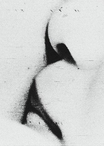 Movie poster for Love (1962)