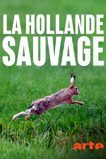 Movie poster for La Hollande sauvage -  La faune des polders (2017)