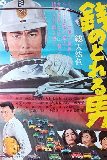 Movie poster for A Man Worth the Money (1966)