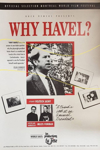 Movie poster for Why Havel? (1991)