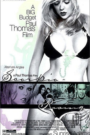 Movie poster for Scorpio Rising (2005)