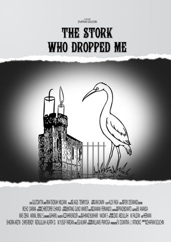 Movie poster for The Stork Who Dropped Me (2016)