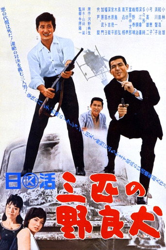 Movie poster for Three Stray Dogs (1965)