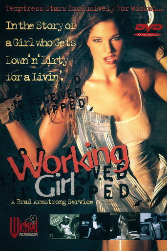 Movie poster for Working Girl (2001)