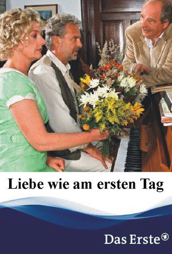 Liebe wie am ersten Tag poster