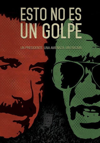 Movie poster for This Is Not a Coup (2018)