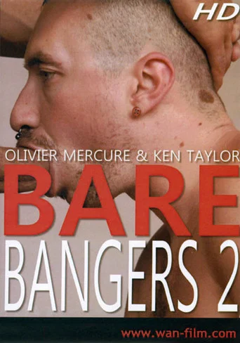 Movie poster for Bare Bangers 2 (2011)