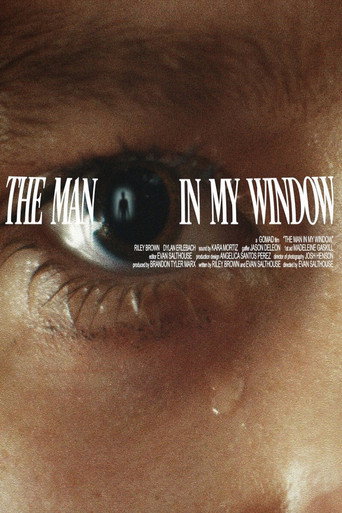 Movie poster for The Man In My Window