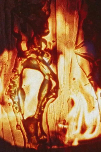 Movie poster for Friendly Fire (2003)