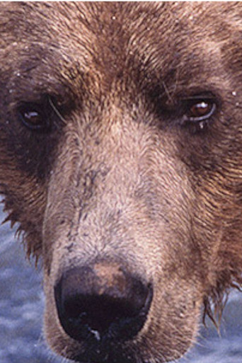 Movie poster for Showdown at Grizzly River (2000)
