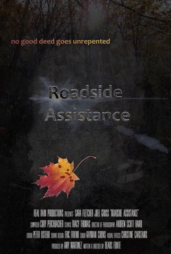 Movie poster for Roadside Assistance (2016)