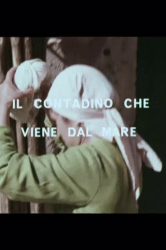 Movie poster for Il contadino che viene dal mare (1967)