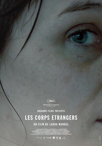 Movie poster for Foreign Bodies (2014)