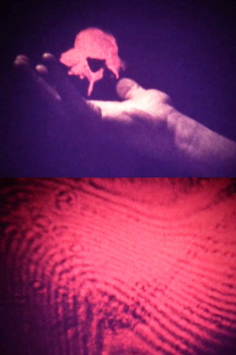 Movie poster for Visual Alchemy (1973)