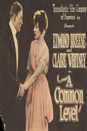 Movie poster for A Common Level (1920)