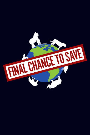 Final Chance to Save poster