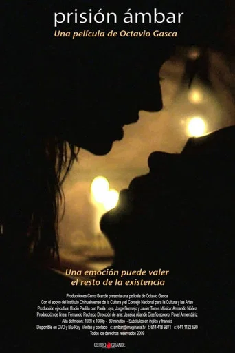 Movie poster for Prisión ámbar (2009)